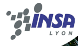 INSA Lyon - Institut National des Sciences Appliquées de Lyon