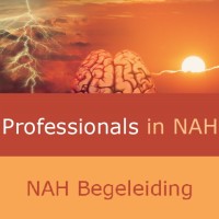 Professionals in NAH bv