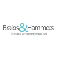 Brains and Hammers