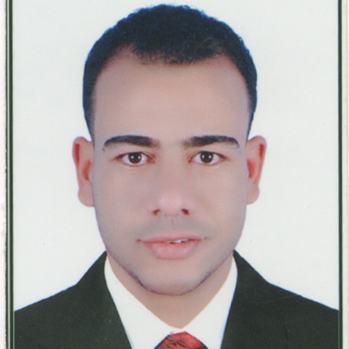 Mohamed Hemaid
