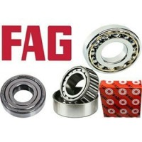 FAG Bearings India Ltd (FAG)