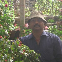 Shambhu Jaiswal