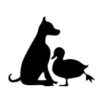 DOG AND A DUCK