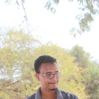 Emad Mohammed Abdalla