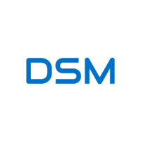 DSM Infocom Private Limited
