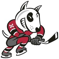 Niagara IceDogs Hockey Club