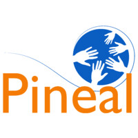 PINEAL CONSULTORES