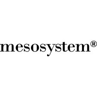 Mesosystem S.a.