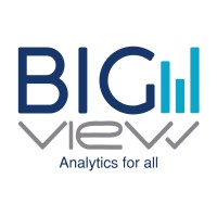 Bigview Analytics