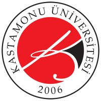 Kastamonu University