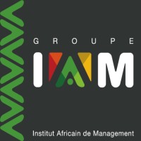 Groupe Institut Africain de Management 2