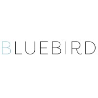 The Bluebird Group