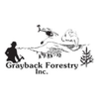 Grayback Forestry Inc