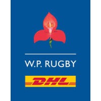 Stormers/WP Rugby