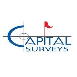 Capital Surveys
