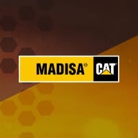 MADISA CAT