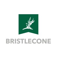 Bristlecone Construction