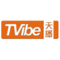 TVibe Corporation