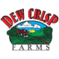 Dew Crisp (Pty) Ltd