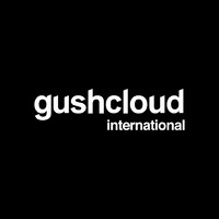 Gushcloud International