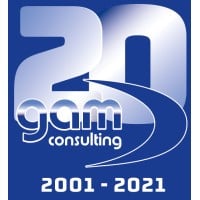 GAM Consulting - Group