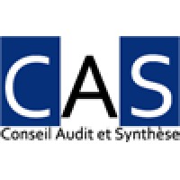 Conseil Audit et Synthèse